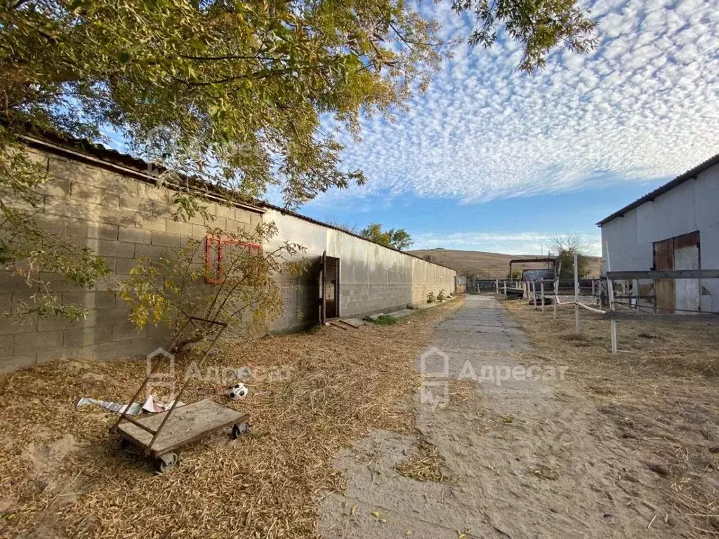 Участок в Волгоградская область, Городищенский район, ... - Фото 2