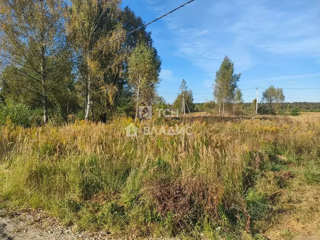 Участок в Московская область, Ногинск Богородский городской округ, ул. ... - Фото 1