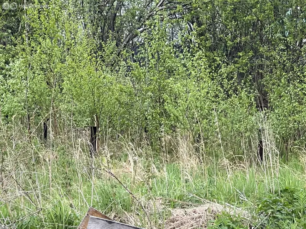 Участок в Екатеринбург, Чусовской тракт (8.5 м) - Фото 1