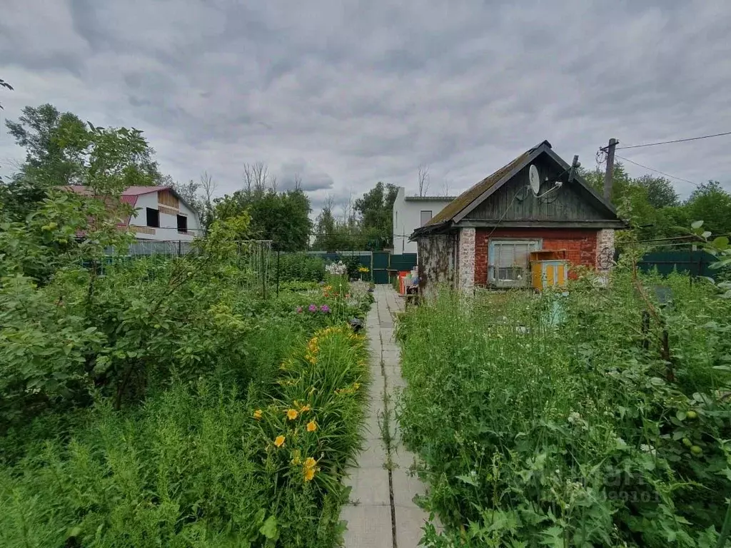 Дом в Омская область, Омск Нефтяник СНТ, 11 (12 м) - Фото 0