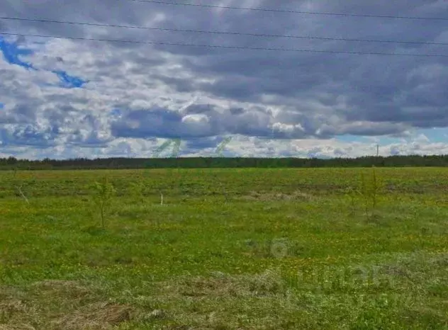 Участок в Москва д. Ширяево, Изумрудная аллея кп,  (15.0 сот.) - Фото 2