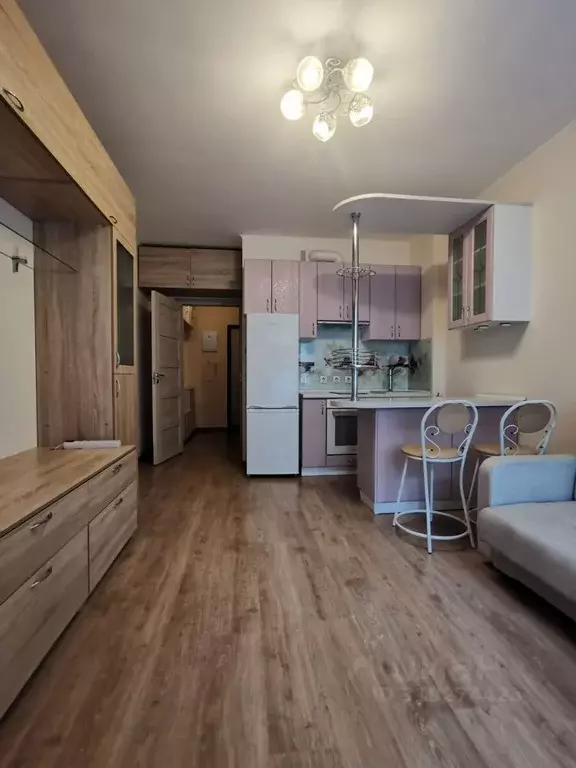 Студия Санкт-Петербург просп. Ветеранов, 169к2 (24.2 м) - Фото 1