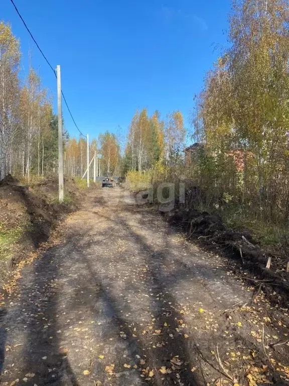 Участок в Новосибирская область, Искитимский район, Мичуринский ... - Фото 0