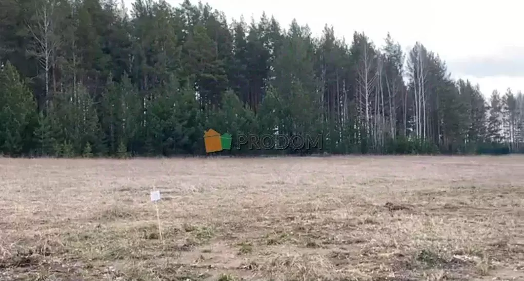 Участок в Свердловская область, Белоярский муниципальный округ, пос. ... - Фото 1