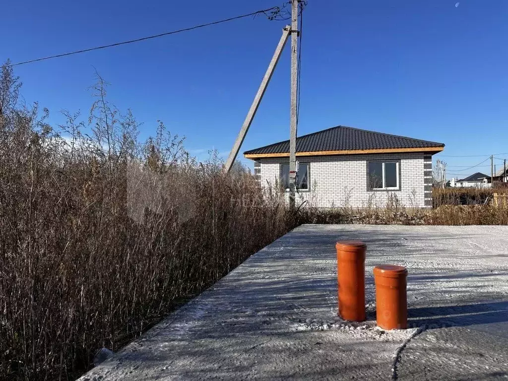 Участок в Тюменская область, Тюмень Россиянка садовое товарищество, ... - Фото 0