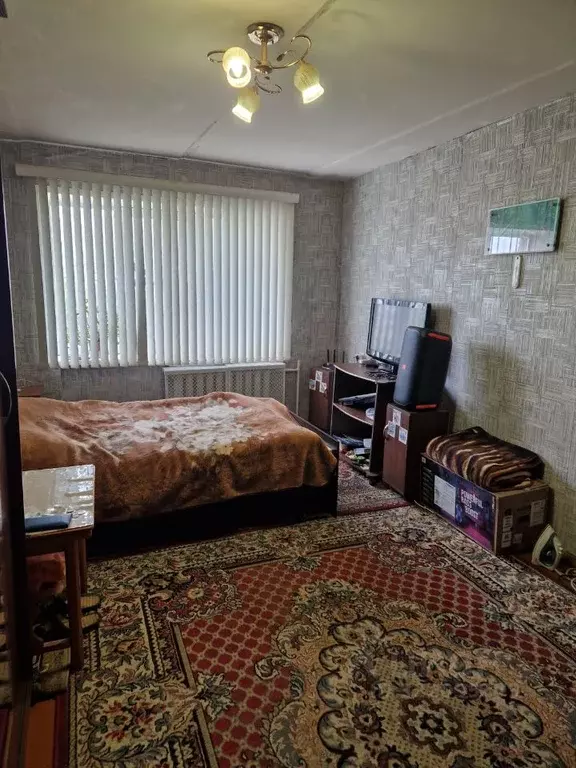 1-к кв. Нижегородская область, Нижний Новгород ул. Мечникова, 79 (29.7 ... - Фото 0