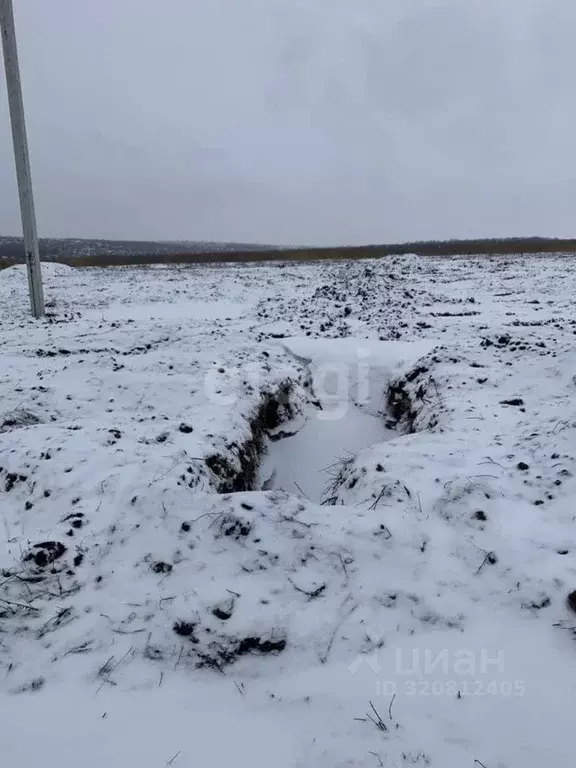 Участок в Белгородская область, Белгородский район, Головинское с/пос, ... - Фото 1
