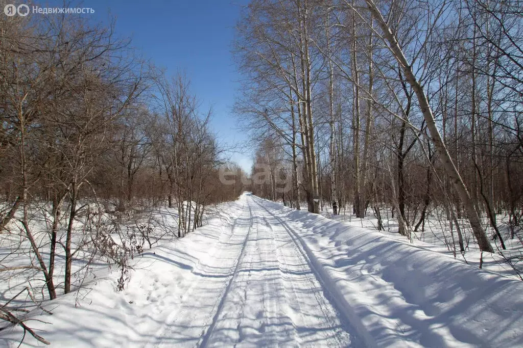 Участок в Хабаровск, Октавная улица (10 м) - Фото 0