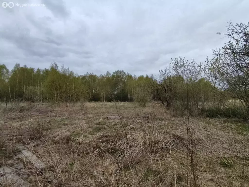 Дом в Нижегородская область, городской округ Бор, деревня Трутнево, 65 ... - Фото 1