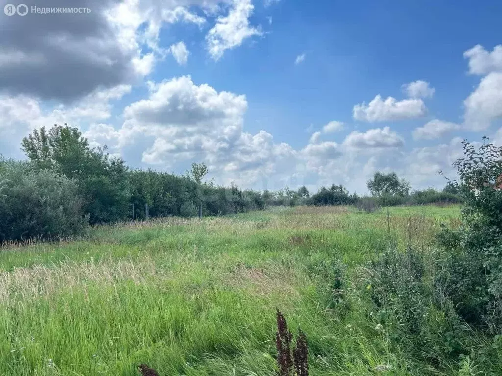 Участок в Новогремяченское, Озёрная улица (10 м) - Фото 2