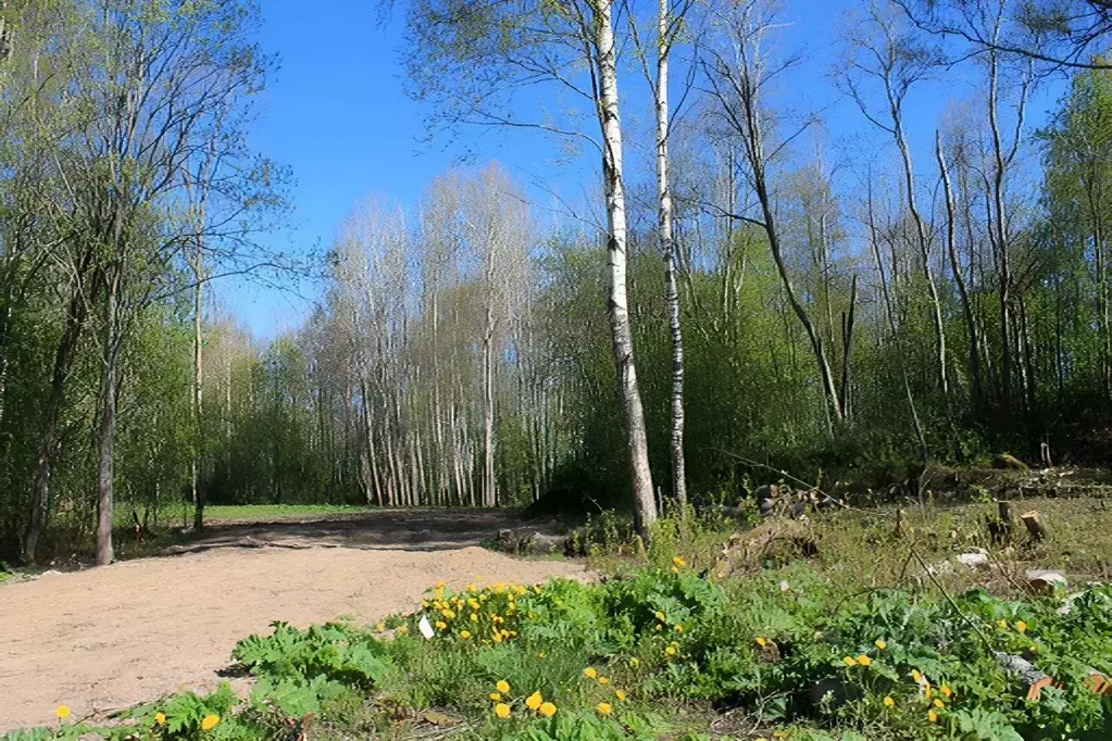 Участок в Ленинградская область, Приозерский район, Мельниковское ... - Фото 1