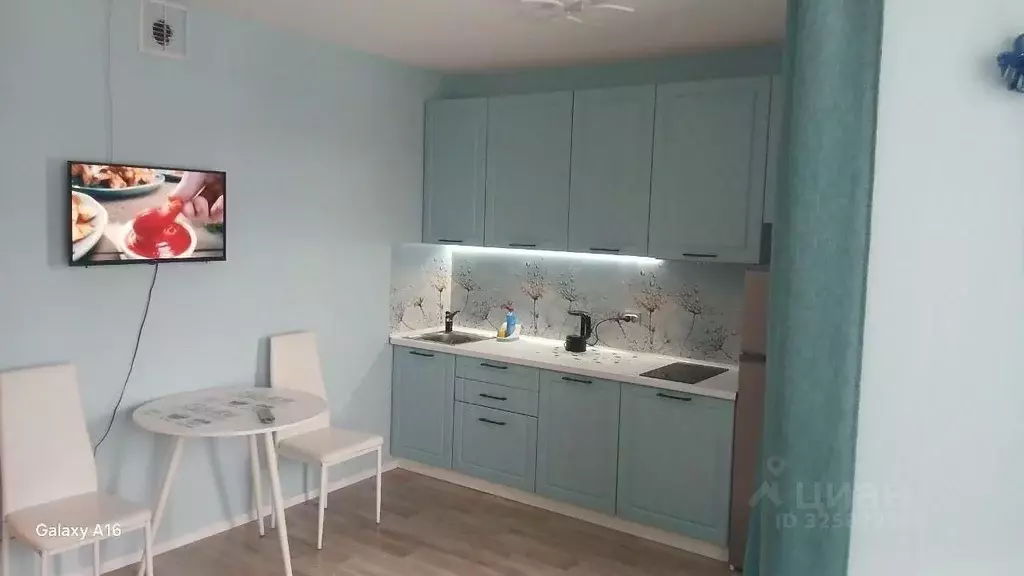 Студия Санкт-Петербург ул. Чарушинская, 26к1 (26.0 м) - Фото 1