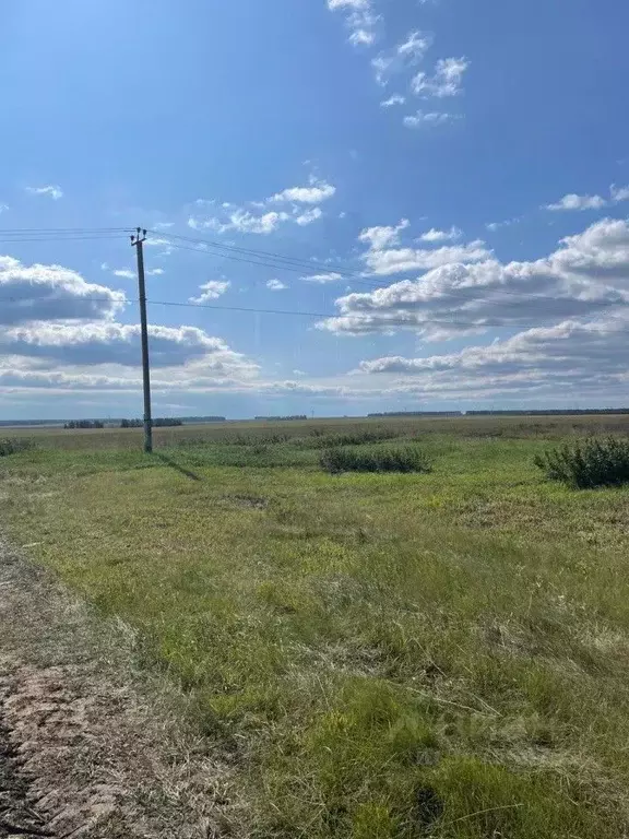 Участок в Свердловская область, Белоярский городской округ, с. ... - Фото 1