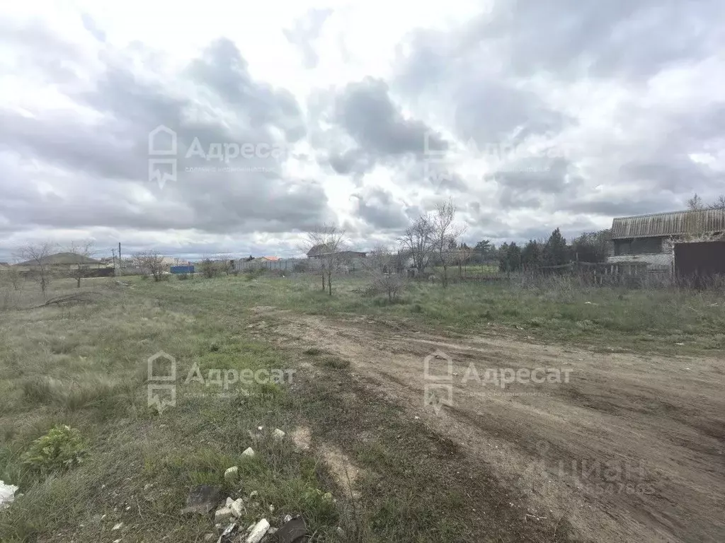 Участок в Волгоградская область, Городищенский район, Царицынское ... - Фото 1