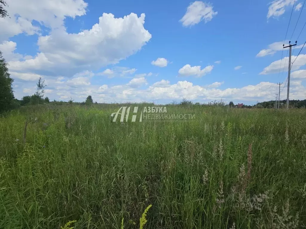 Участок в Московская область, Ногинск Богородский городской округ, ул. ... - Фото 1