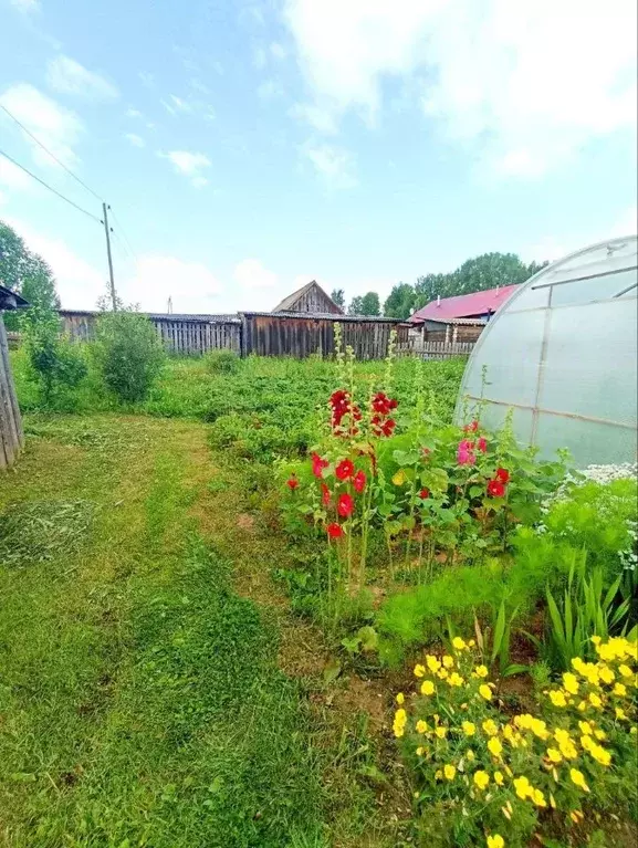 2-к кв. Пермский край, Карагайский муниципальный округ, д. Ярино ул. ... - Фото 1