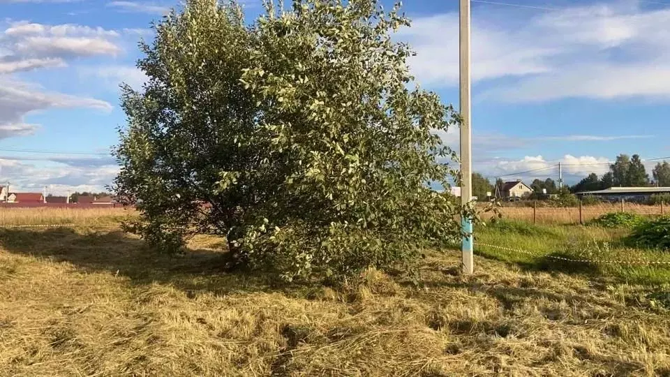 Участок в Московская область, Клин городской округ, Аквамарин дп  ... - Фото 1