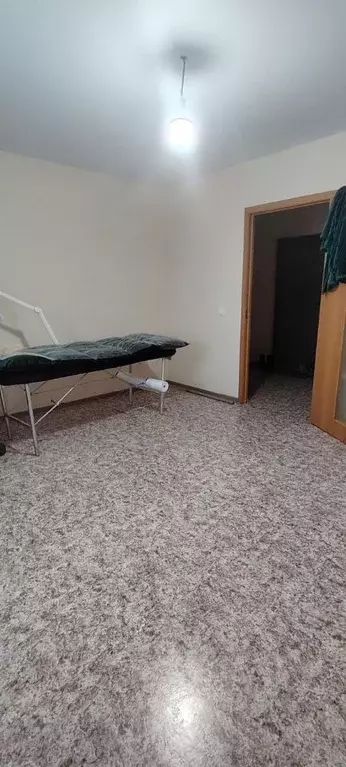 Студия Кемеровская область, Кемеровский муниципальный округ, д. ... - Фото 2