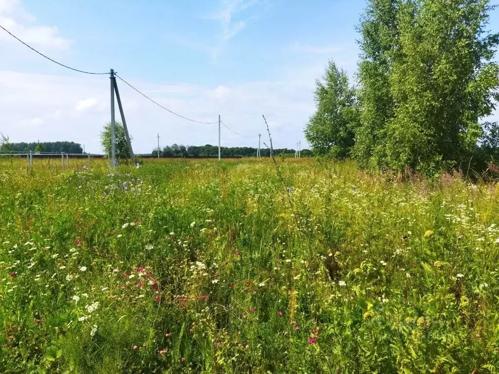 Участок в Тульская область, Ясногорский район, Иваньковское с/пос, д. ... - Фото 1