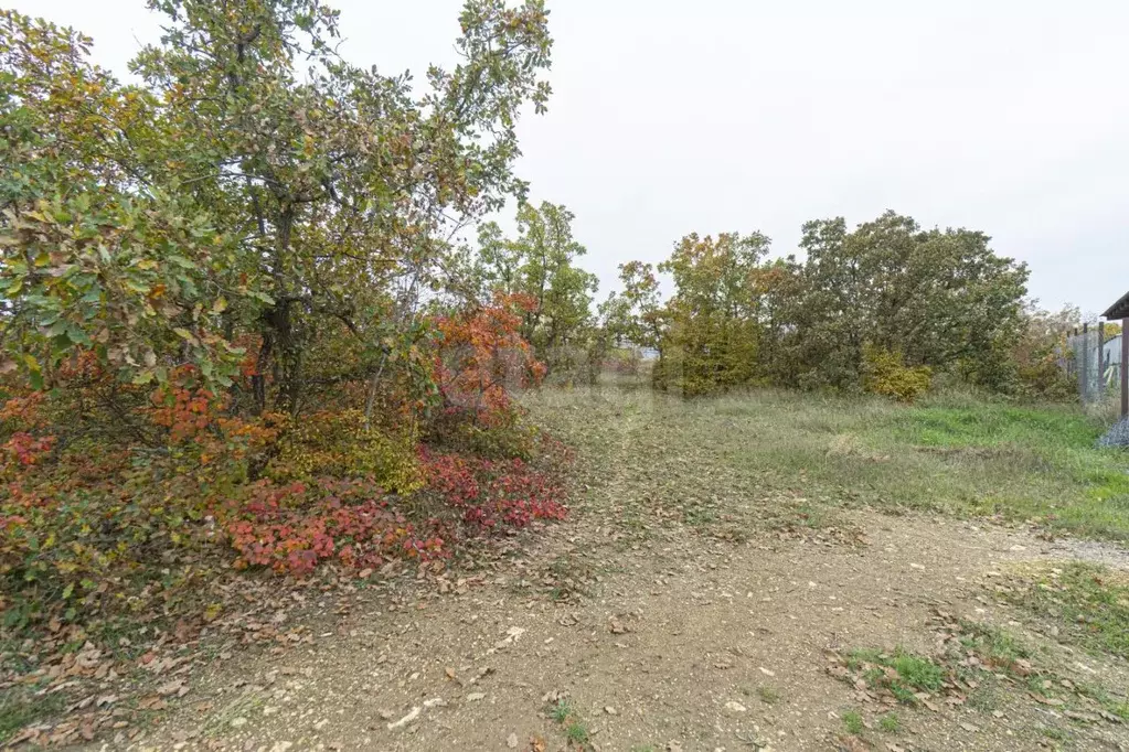 Участок в Севастополь ул. Ясеневая, 85 (5.66 сот.) - Фото 0