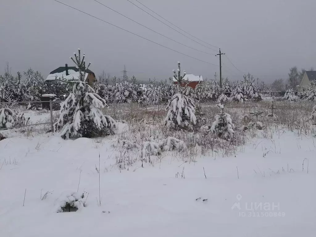 Участок в Московская область, Раменский городской округ, с. Игнатьево ... - Фото 1