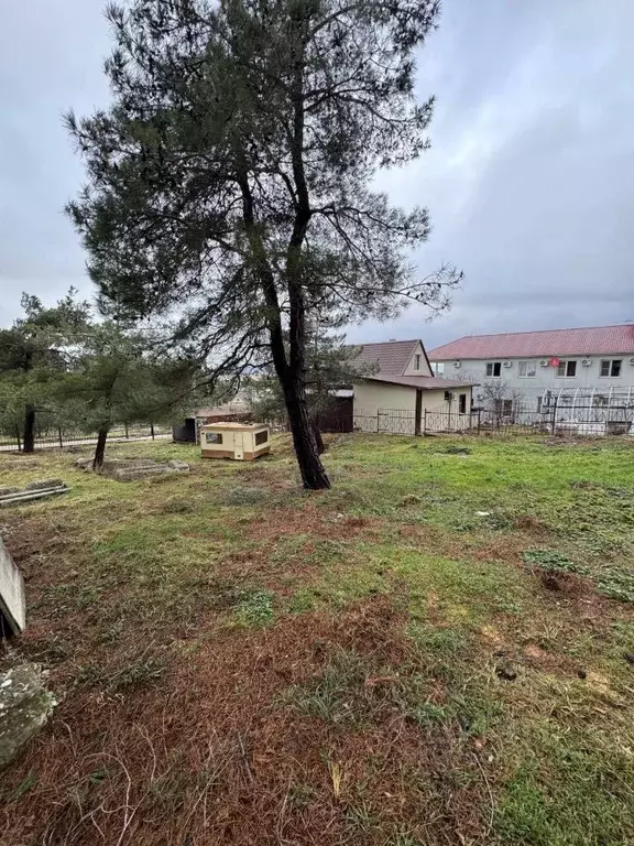 Участок в Краснодарский край, Геленджик Виноградарь-2 СНТ, ул. ... - Фото 1