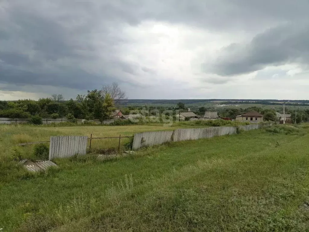 Участок в Белгородская область, Чернянский район, Русскохаланское ... - Фото 0