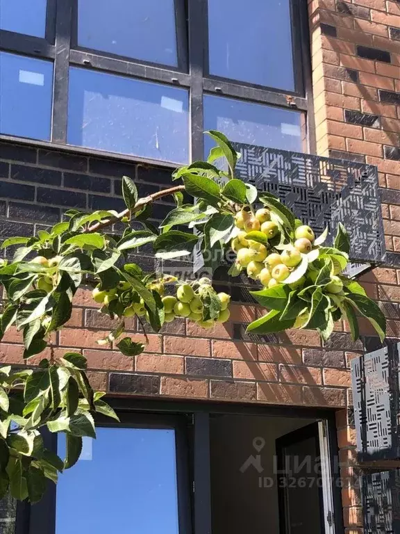 1-к кв. Адыгея, Майкоп ул. К.А. Васильева, 2/1 (35.45 м) - Фото 2