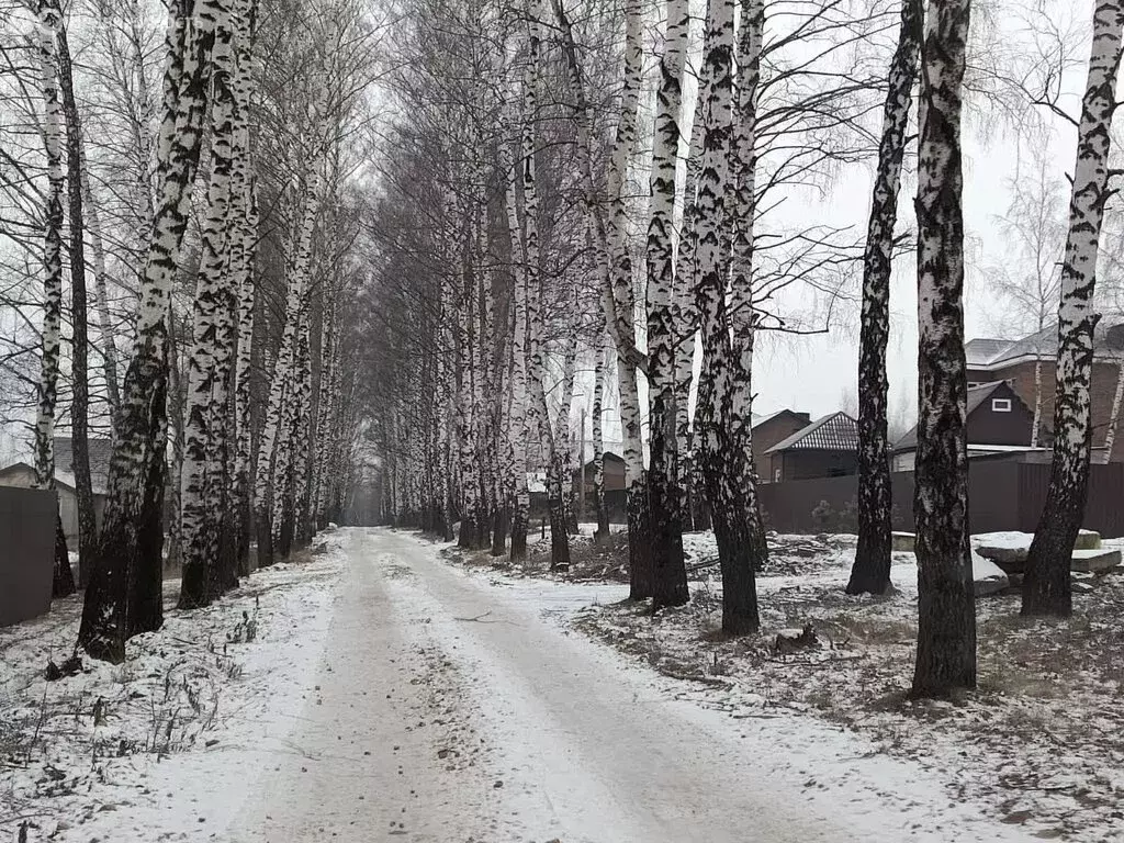 Участок в Тульская область, городской округ Тула, село Частое (11 м) - Фото 1