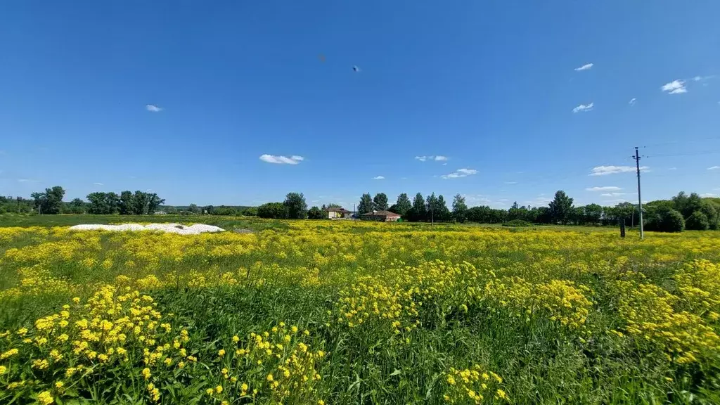 Участок в Нижегородская область, Павловский район, д. Комарово ... - Фото 2