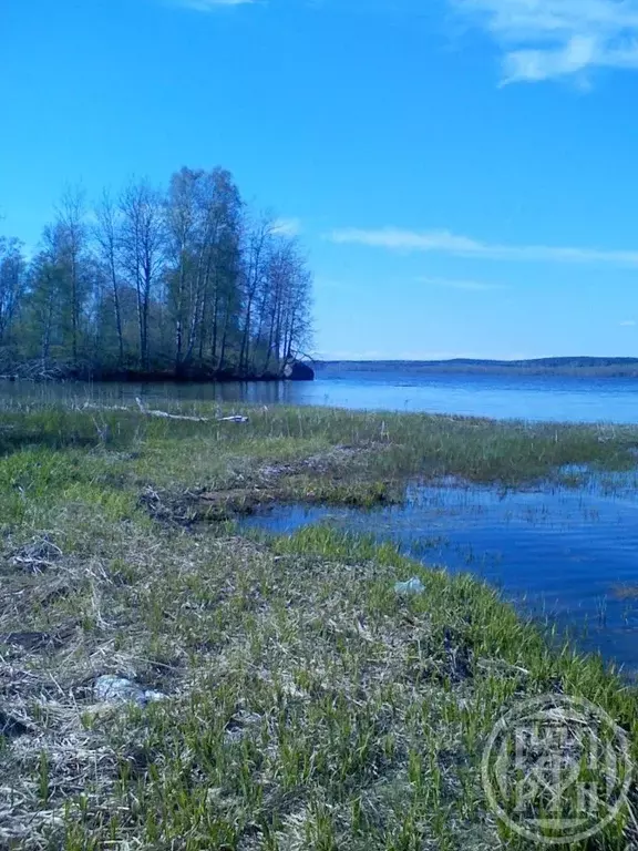 Участок в Ленинградская область, Выборгский район, Полянское с/пос, ... - Фото 2