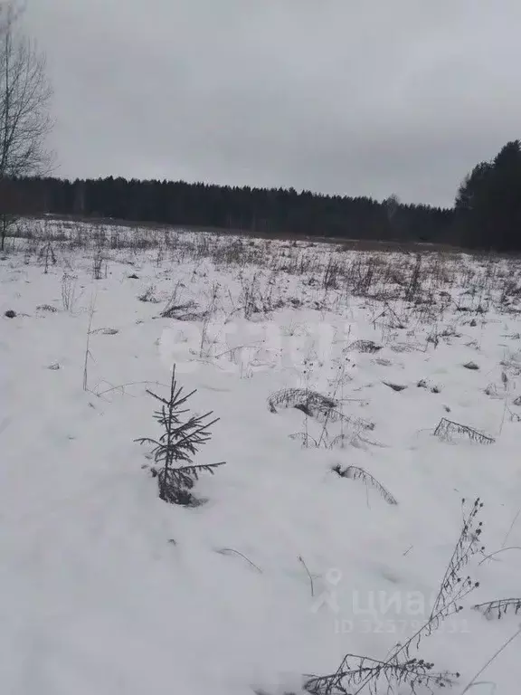 Участок в Кировская область, Слободской район, Ленинское с/пос, д. ... - Фото 2