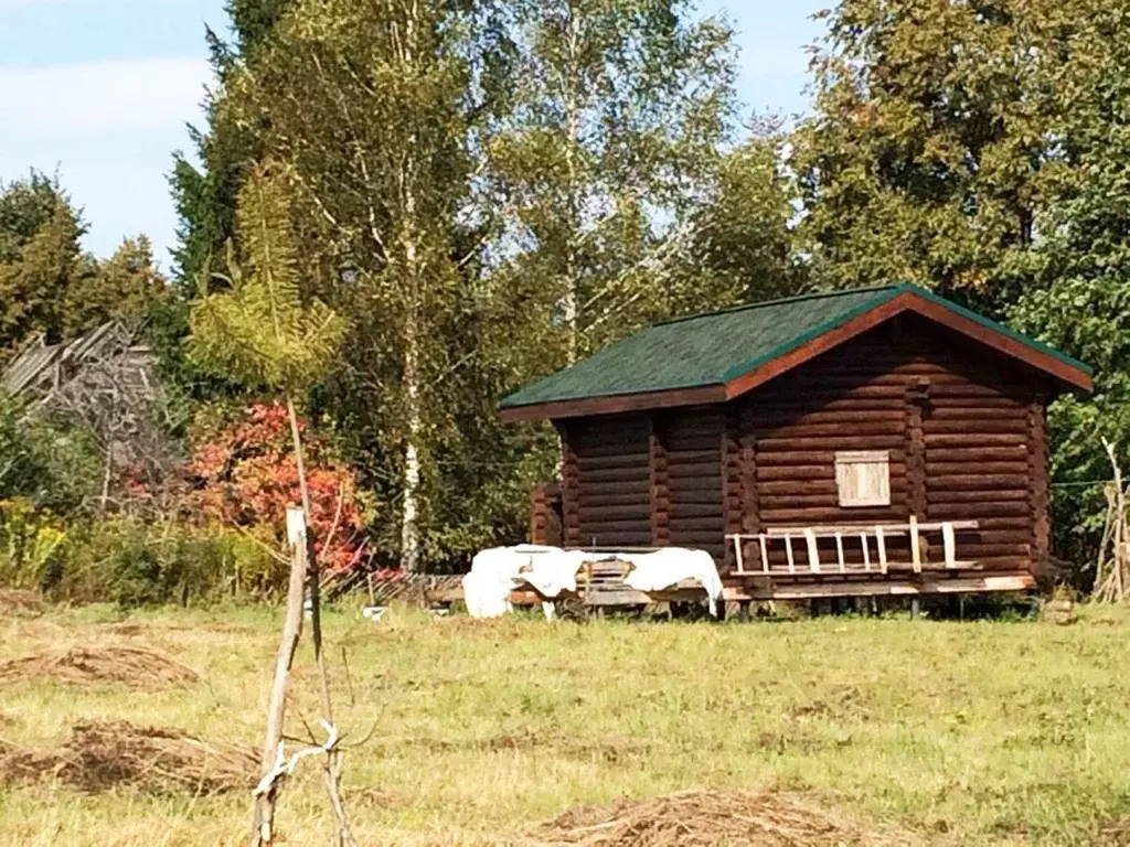 Участок в Калужская область, Медынский район, Михеево с/пос, д. ... - Фото 2