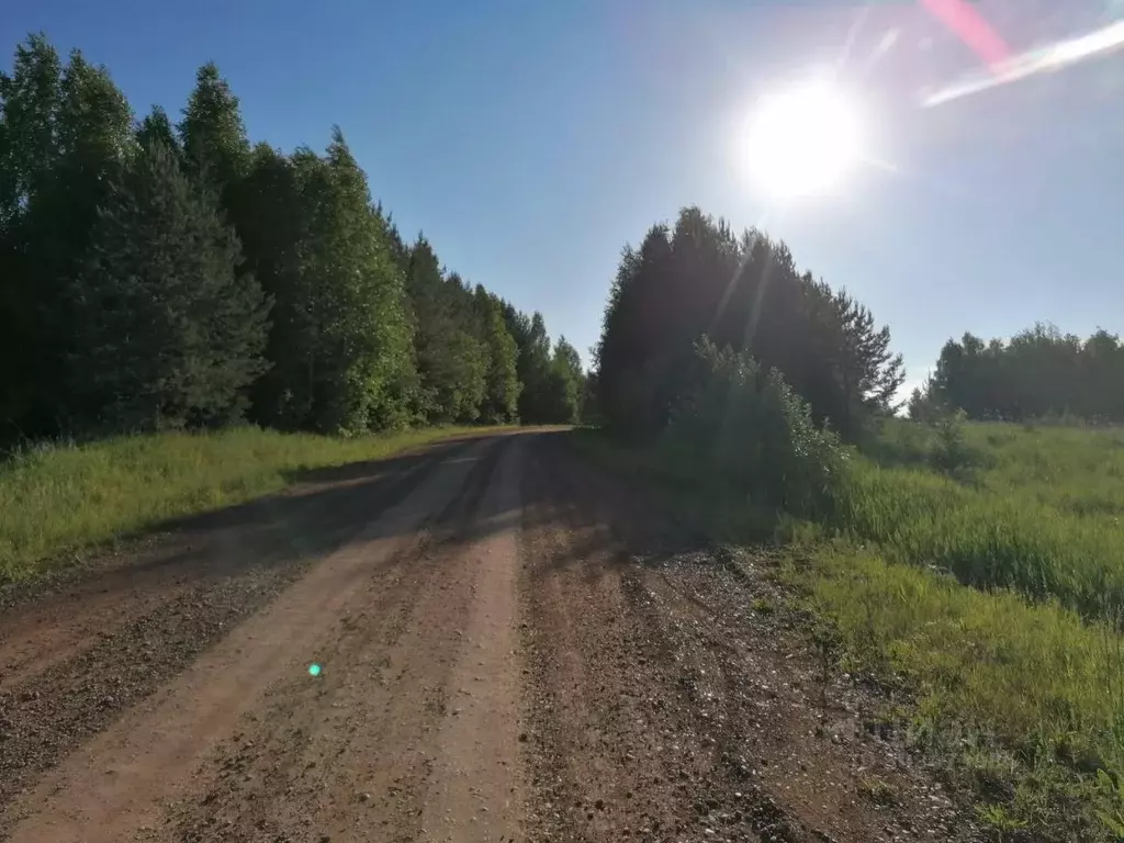 Участок в Пермский край, Оханский муниципальный округ, д. Березовка 31 ... - Фото 2