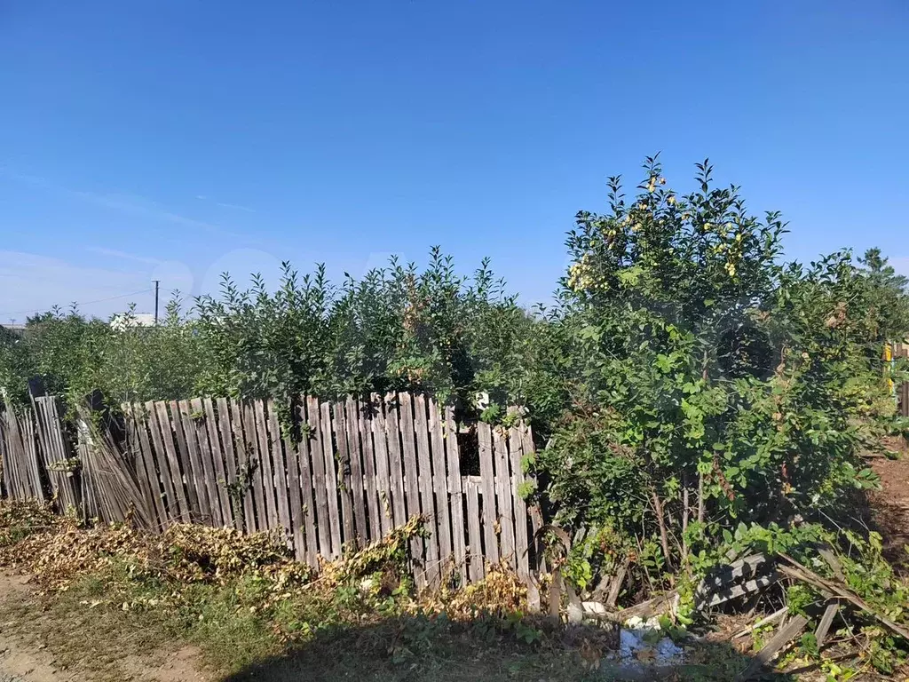 Участок 5 сот. (СНТ, ДНП) - Фото 1
