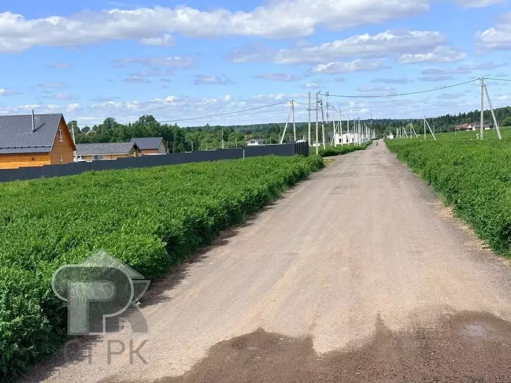 Участок в Московская область, Клин городской округ, Коськово кп 215 ... - Фото 1