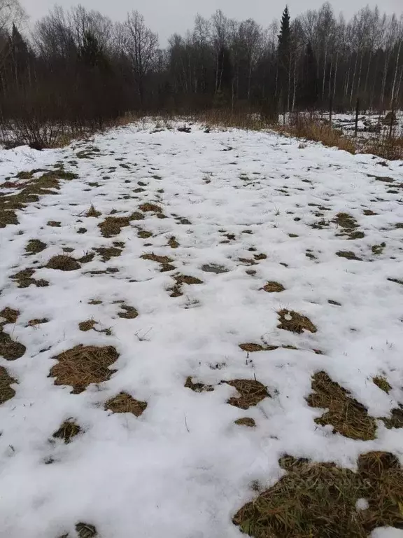 Участок в Калужская область, Ферзиковский район, Ястребовка с/пос, ... - Фото 2