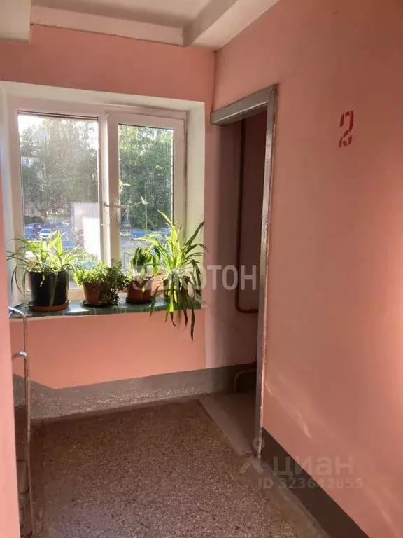 1-к кв. Санкт-Петербург Северный просп., 93 (36.0 м) - Фото 1