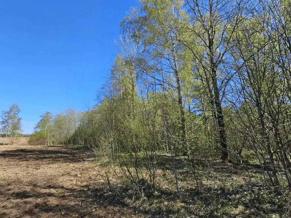 Участок в Ленинградская область, Всеволожский район, Сертоловское ... - Фото 0