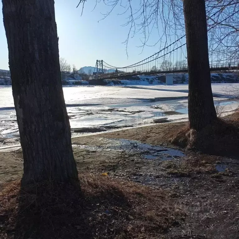 Участок в Алтай, Майминский район, Алтай СТ  (10.0 сот.) - Фото 1