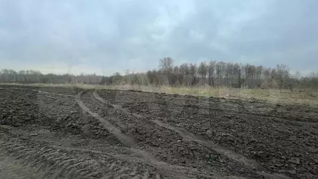Участок 9 сот. (СНТ, ДНП) - Фото 1