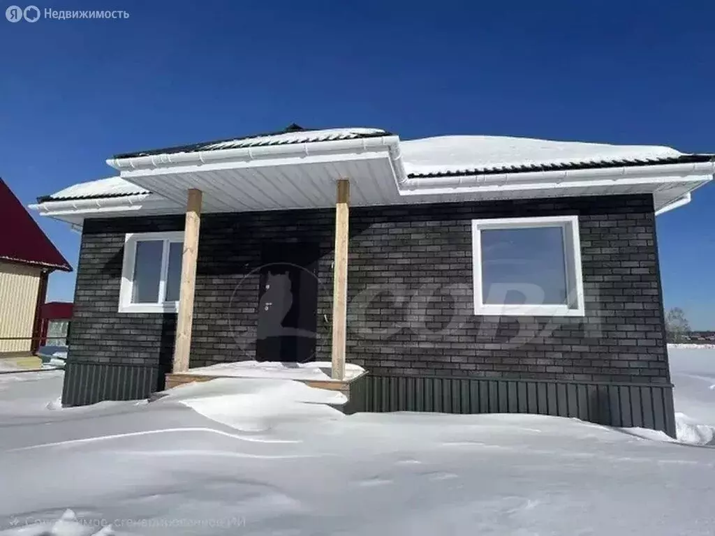 Дом в Тюменский муниципальный округ, село Борки (70 м) - Фото 1