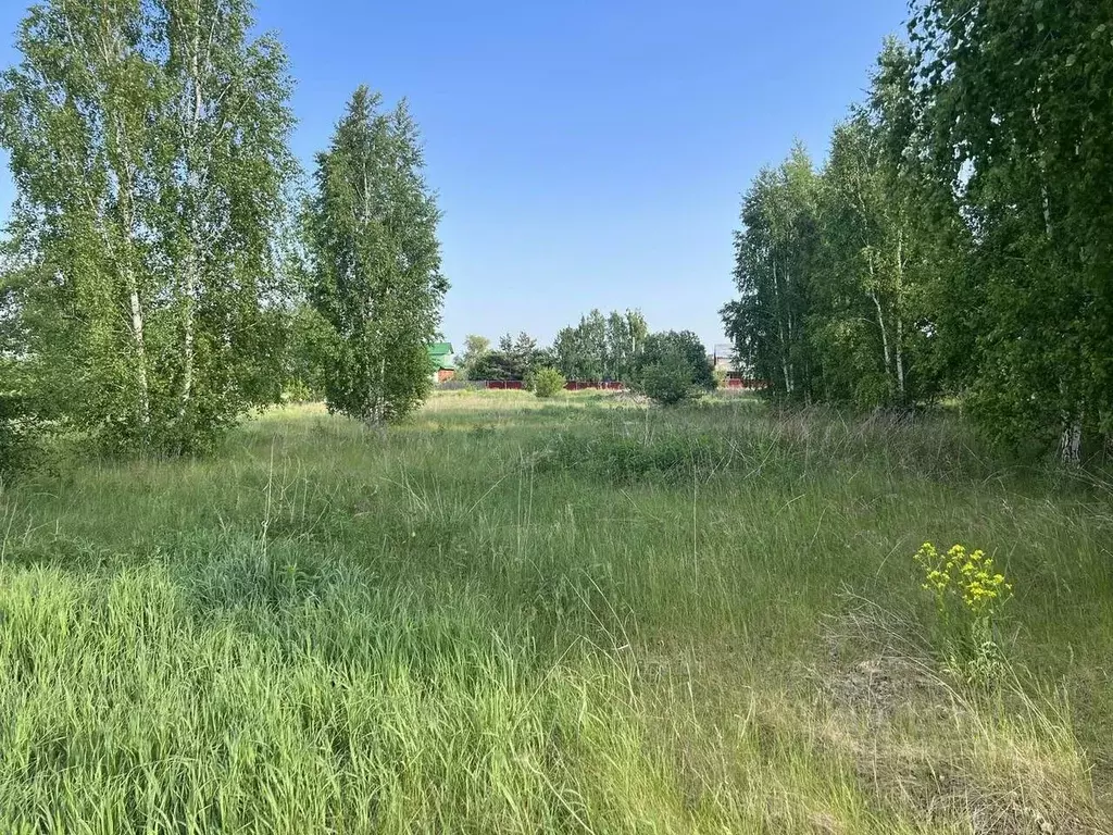 Участок в Свердловская область, Каменский муниципальный округ, с. ... - Фото 1