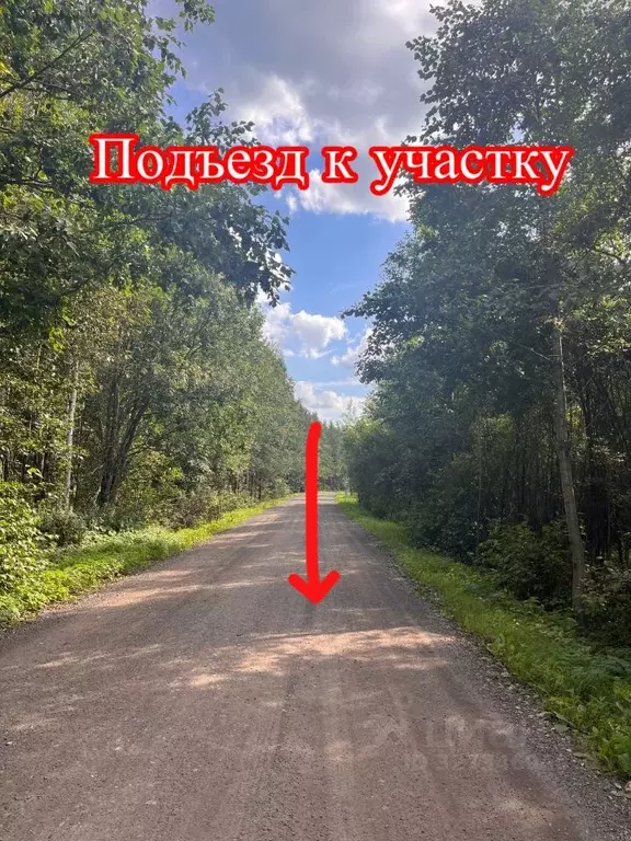 Участок в Ленинградская область, Всеволожское городское поселение  ... - Фото 2