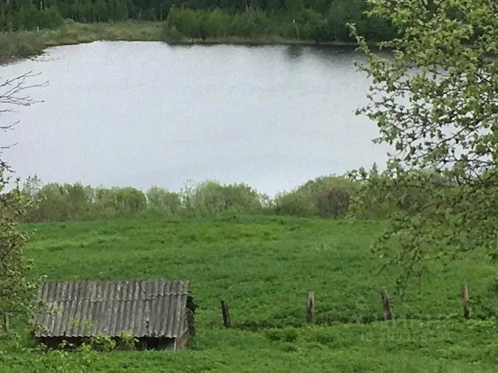 Участок в Новгородская область, Валдайский муниципальный район, ... - Фото 1