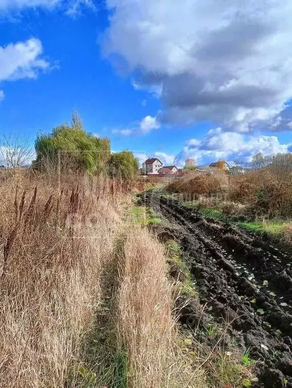 Участок в Воронежская область, Новоусманский район, с. Бабяково ... - Фото 1