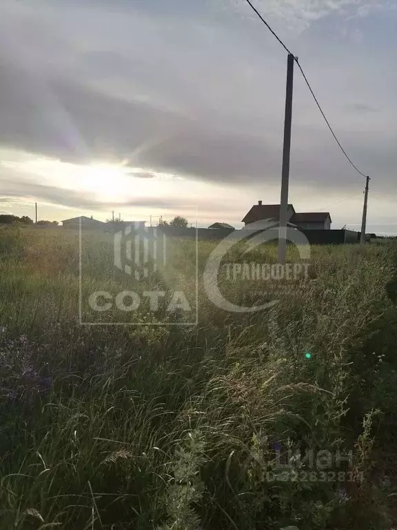 Участок в Воронежская область, Новоусманский район, с. Рогачевка  ... - Фото 1