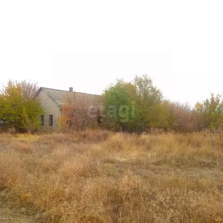 Склад в Волгоградская область, Серафимович Пионерская ул., 52 (5860 м) - Фото 1