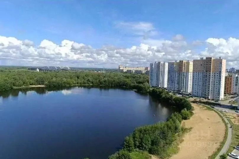 1-к кв. Нижегородская область, Нижний Новгород Бурнаковская ул., 113 ... - Фото 1