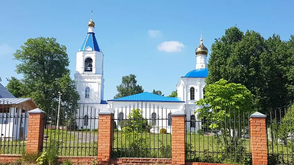 Участок в Московская область, Коломна городской округ, с. Белые ... - Фото 1